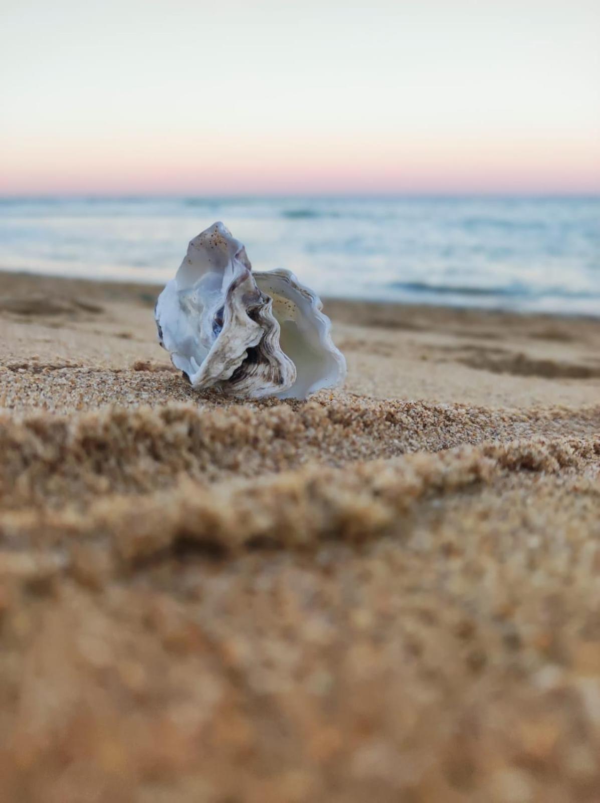 Maison A 8 Min A Pied De La Plage Avec Jardin Clos Et Ombrage Saint-Georges-d'Oleron Dış mekan fotoğraf