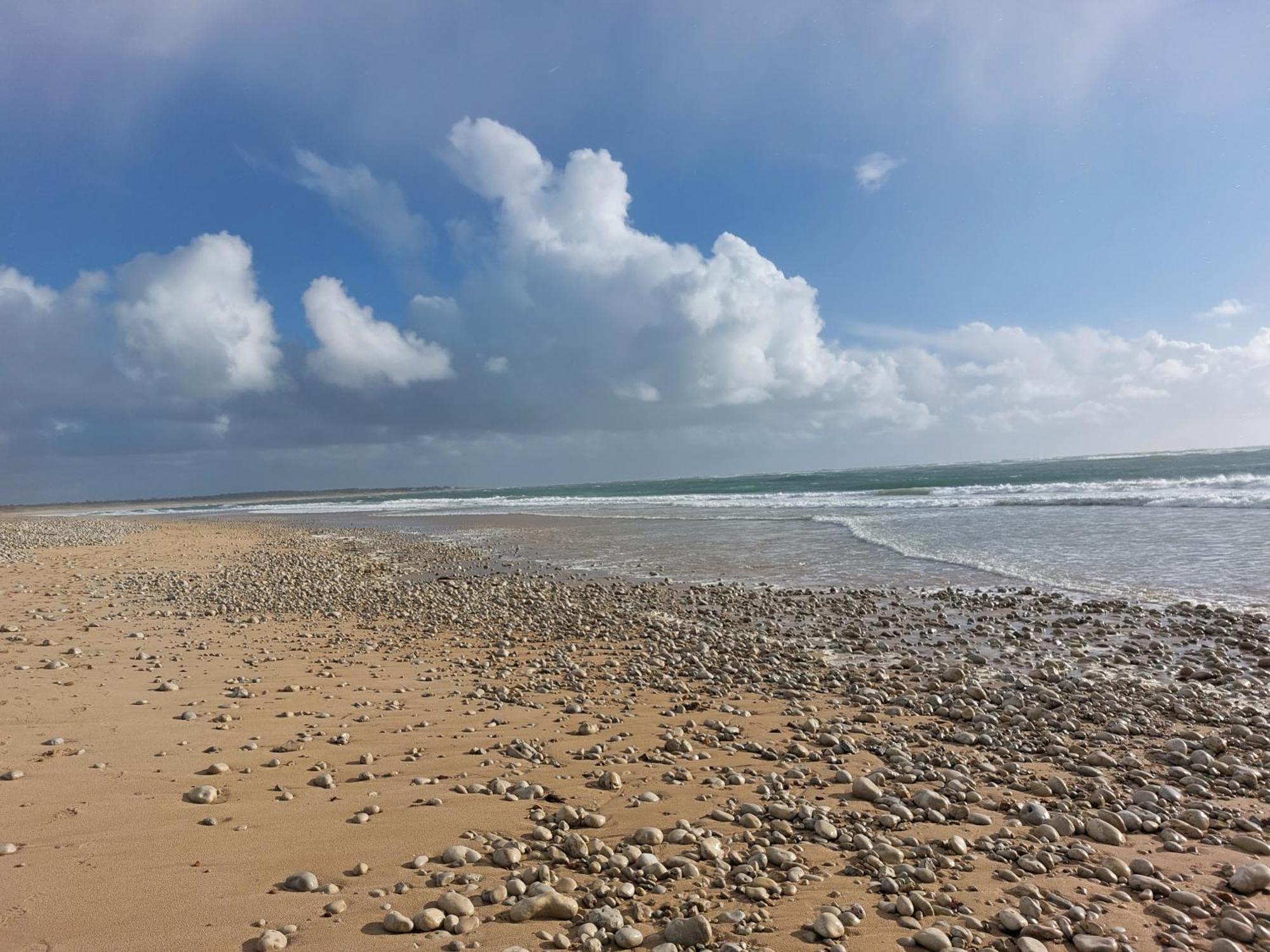 Maison A 8 Min A Pied De La Plage Avec Jardin Clos Et Ombrage Saint-Georges-d'Oleron Dış mekan fotoğraf