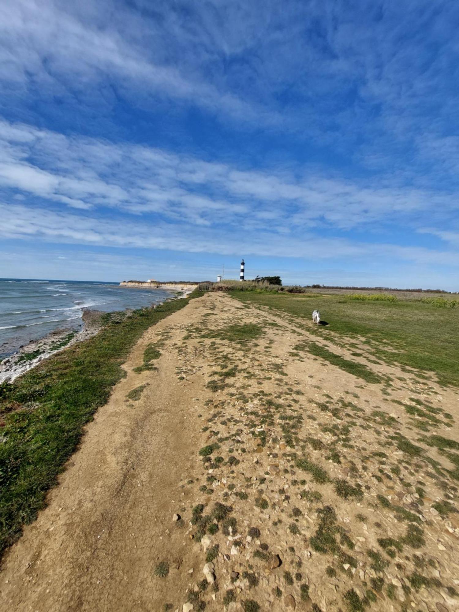 Maison A 8 Min A Pied De La Plage Avec Jardin Clos Et Ombrage Saint-Georges-d'Oleron Dış mekan fotoğraf